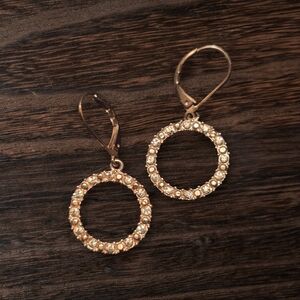 E006 ✨️ EARRINGS Vintage AVON